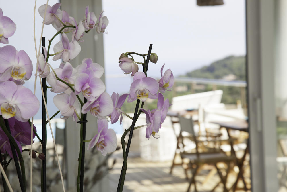 Es Cel De Begur Hotel Pokój zdjęcie